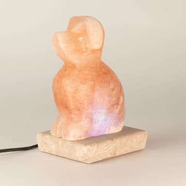 Lampa USB Dog Shaped din Sare Himalaya